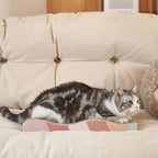 Corrugated Cardboard Cat Scratcher Lounge
