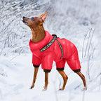 Waterproof Winter Dog Jacket with Built-in Harness