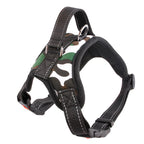 Heavy-Duty Adjustable Nylon Dog Harness