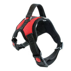 Heavy-Duty Adjustable Nylon Dog Harness