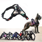 Heavy-Duty Adjustable Nylon Dog Harness