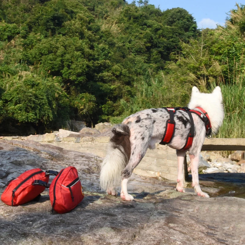 Removable Dog Backpack Harness
