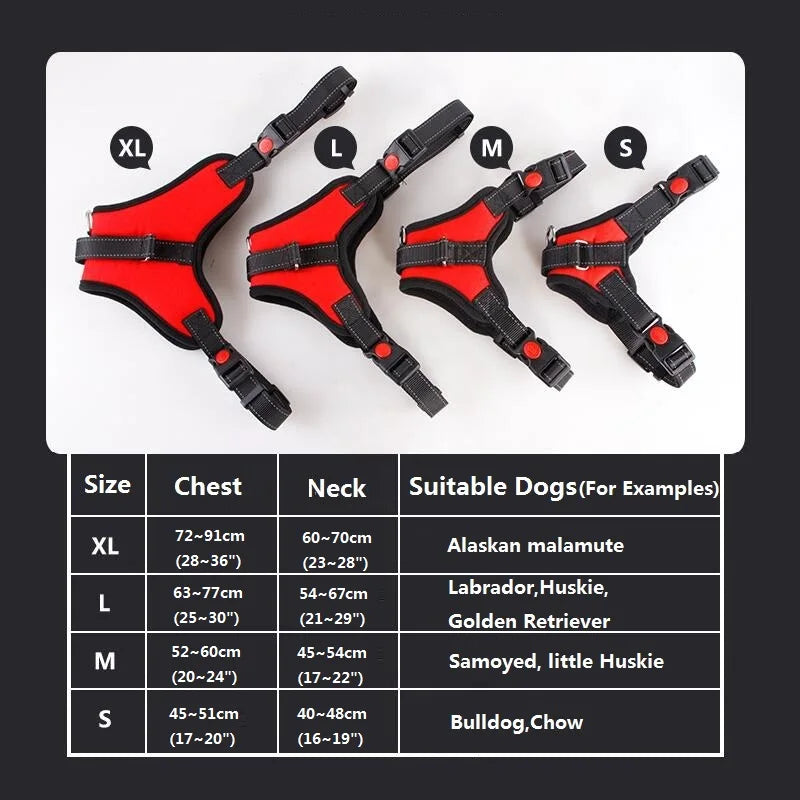 Heavy-Duty Adjustable Nylon Dog Harness