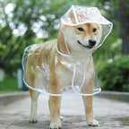 Transparent Pet Raincoat