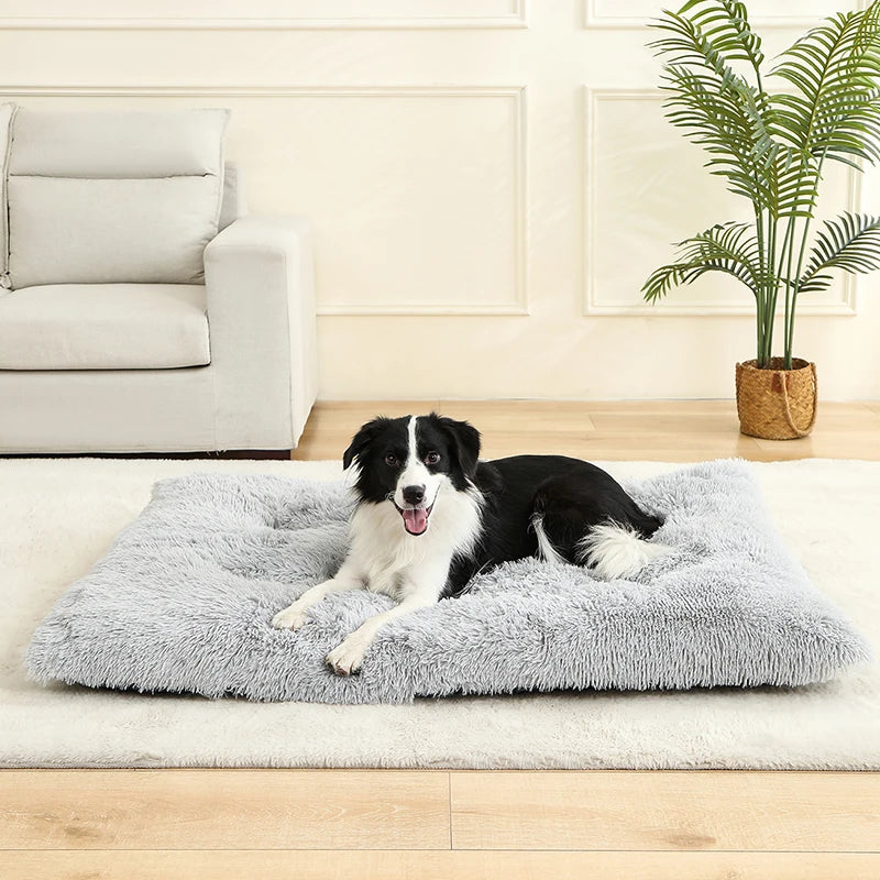 Soft Long Plush Pet Bed
