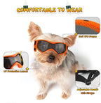 Dog Goggles with UV Protection