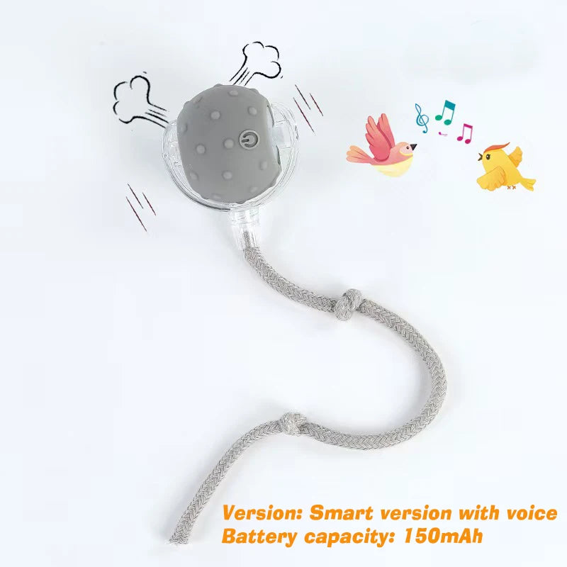 Smart Interactive Dog Ball