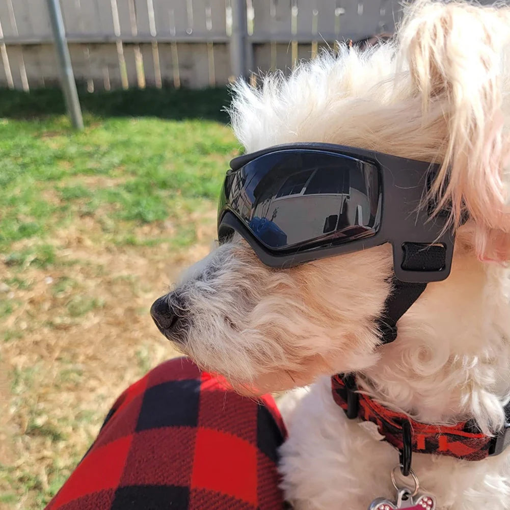 Dog Goggles with UV Protection