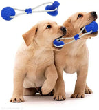 Suction Cup Dog Toy with TPR Ball