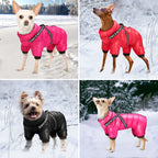 Waterproof Winter Dog Jacket with Built-in Harness