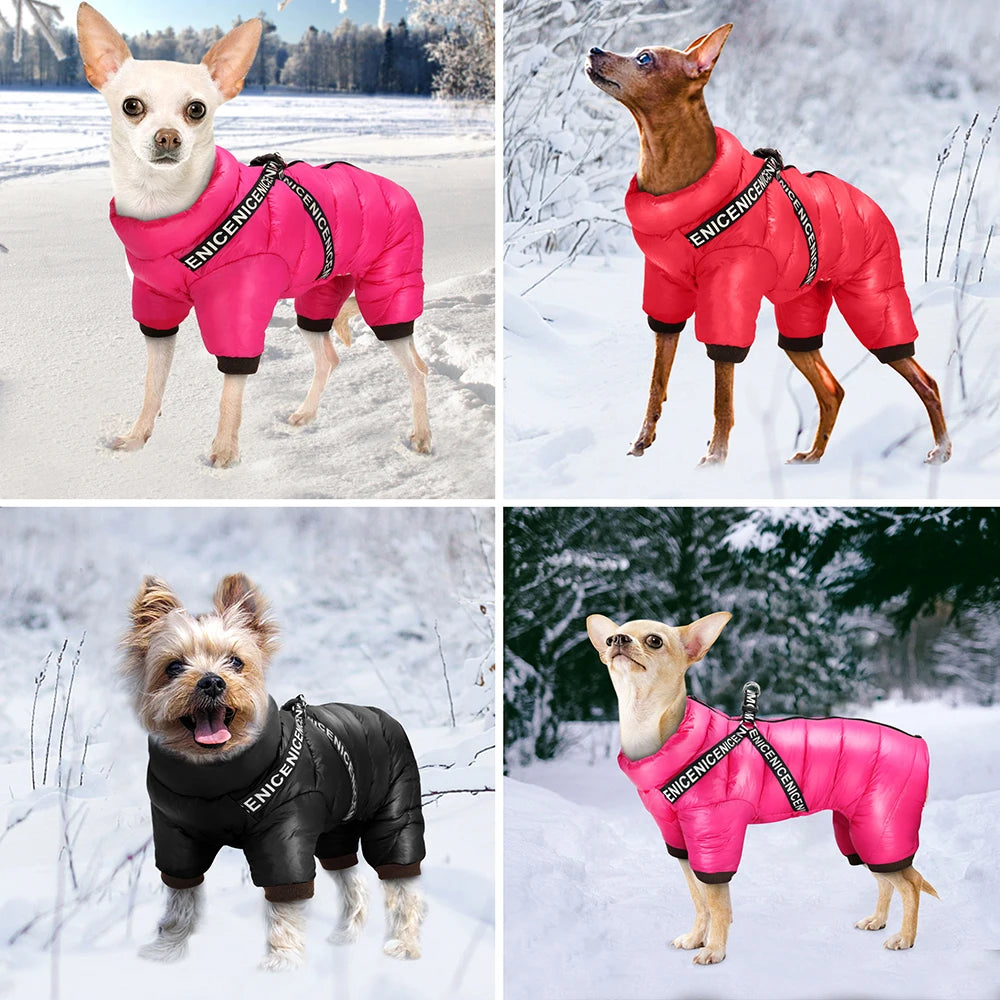 Waterproof Winter Dog Jacket with Built-in Harness