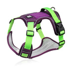 Dog Harness