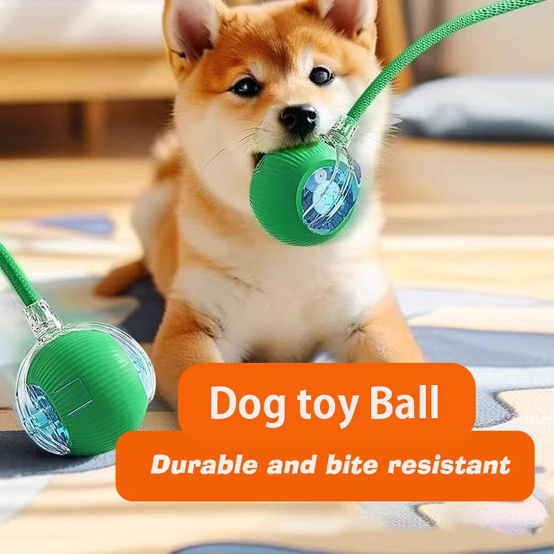 Smart Interactive Dog Ball