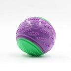 Interactive Squeaky Dog Ball