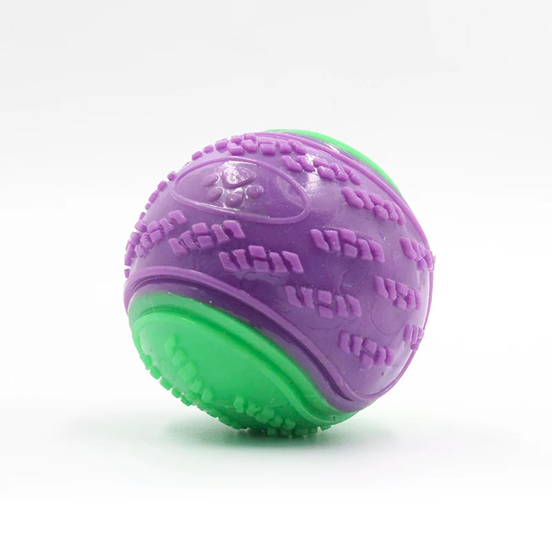 Interactive Squeaky Dog Ball