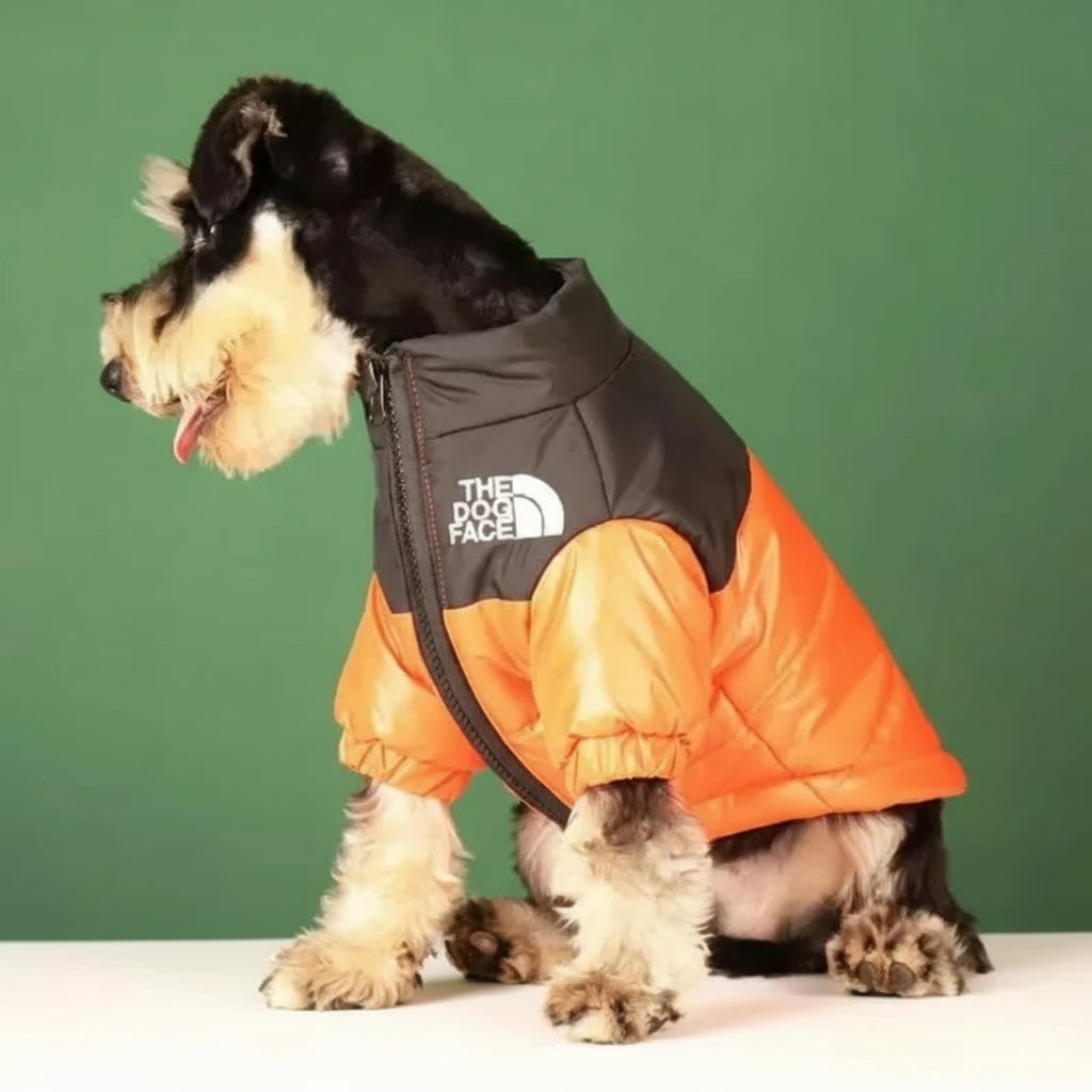Waterproof Winter Down Jacket for Dogs