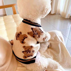 Luxury Teddy Bear Cardigan Sweater for Dogs & Cats