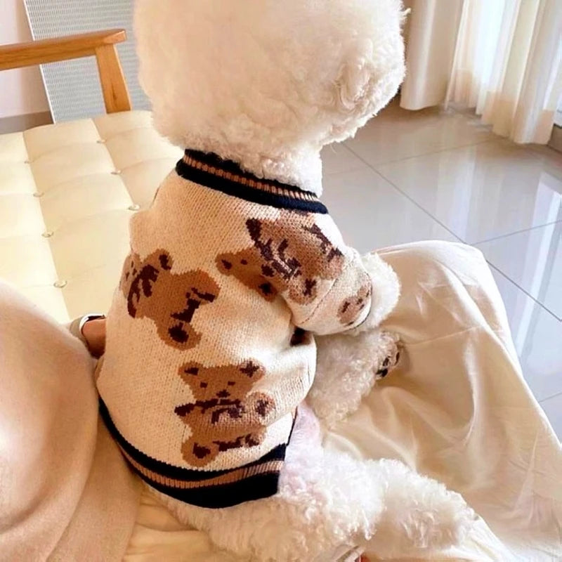 Luxury Teddy Bear Cardigan Sweater for Dogs & Cats