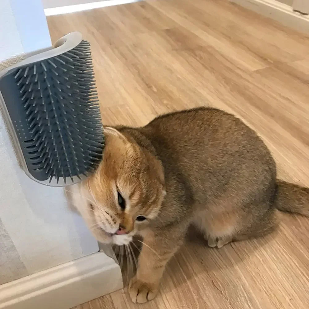 Cat Corner Brush Massager