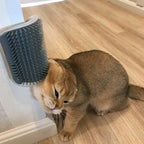 Cat Corner Brush Massager
