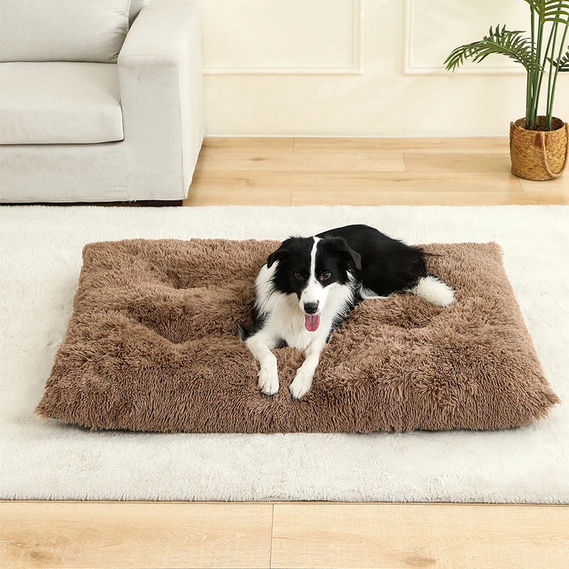 Soft Long Plush Pet Bed