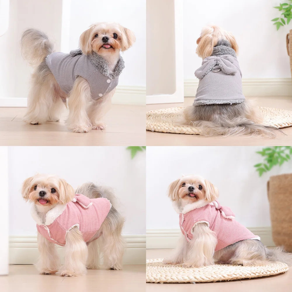 Winter Corduroy Dog Coat with Bow & D-Ring