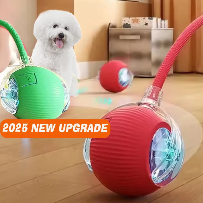 Smart Interactive Dog Ball