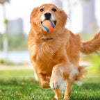 Rubber Dog Fetch Ball