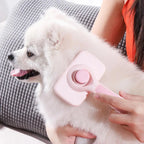 Self-Cleaning Pet Brush