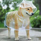 Transparent Pet Raincoat