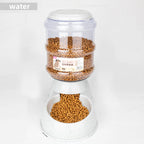 3.8L Capacity Automatic Pet Feeder & Water Dispenser