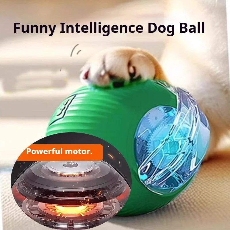 Smart Interactive Dog Ball
