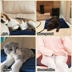 Pet Heating Pad