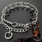 Training Collar with Protective Rubber Tips
