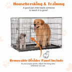 Heavy-Duty Folding Metal Dog Cage