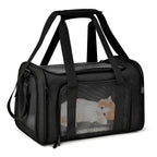 Airline Approved Pet Carrier Bag