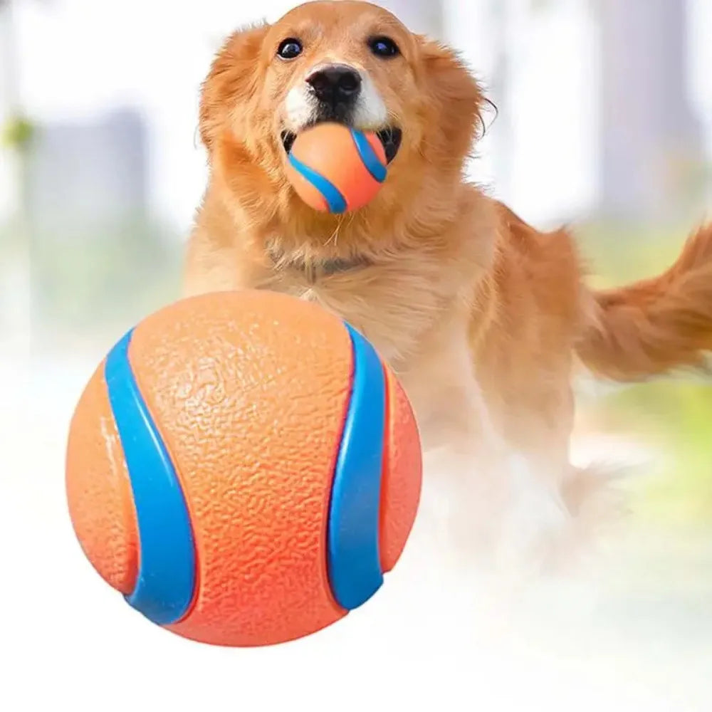 Rubber Dog Fetch Ball