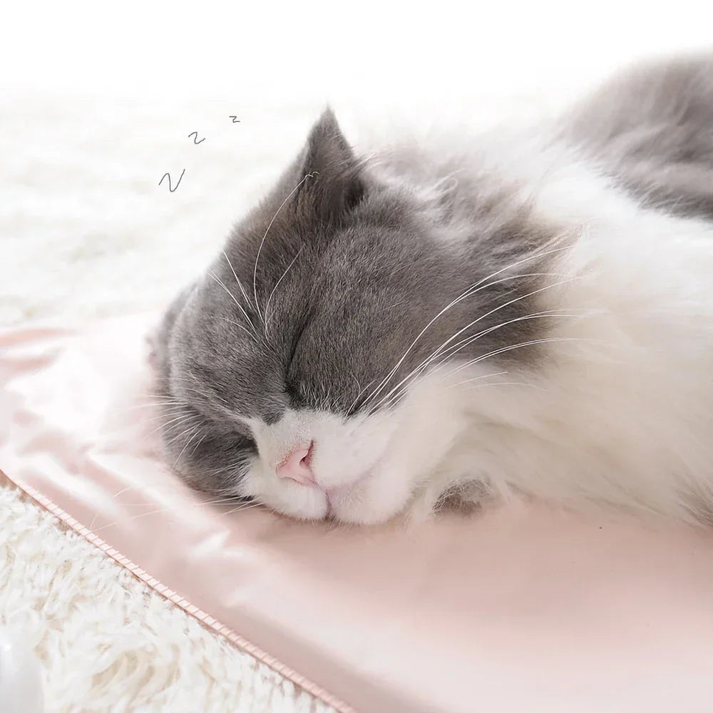 Electric Pet Heating Pad