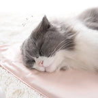 Electric Pet Heating Pad