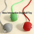 Smart Interactive Dog Ball