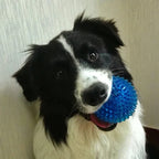 Soft Burr Dog Toy Ball