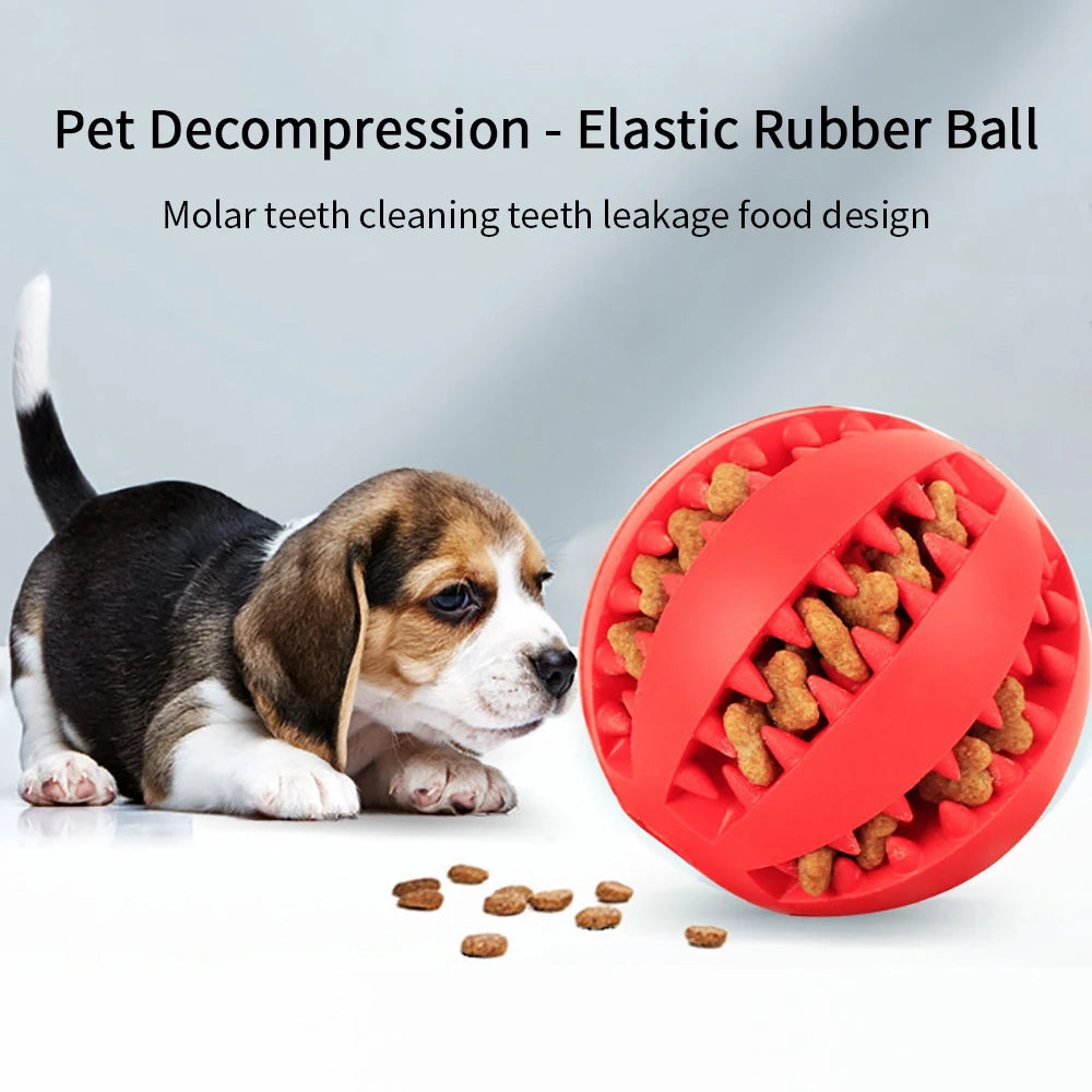 Interactive Rubber Dog Ball