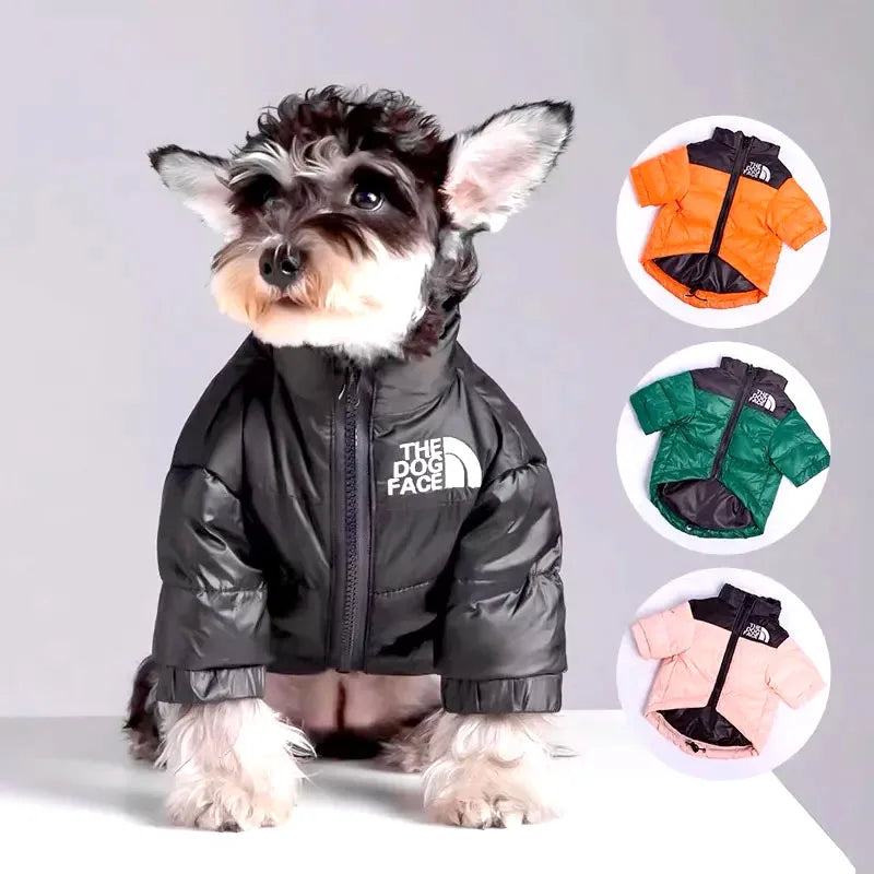 Waterproof Winter Down Jacket for Dogs