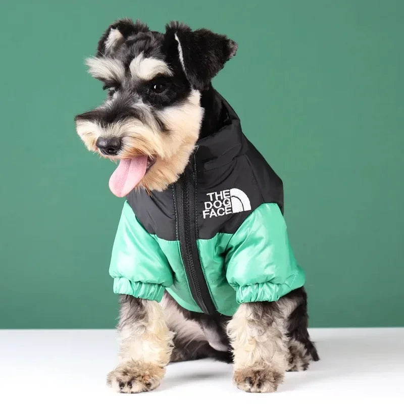 Waterproof Winter Down Jacket for Dogs