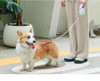 LED Retractable Pet Leash