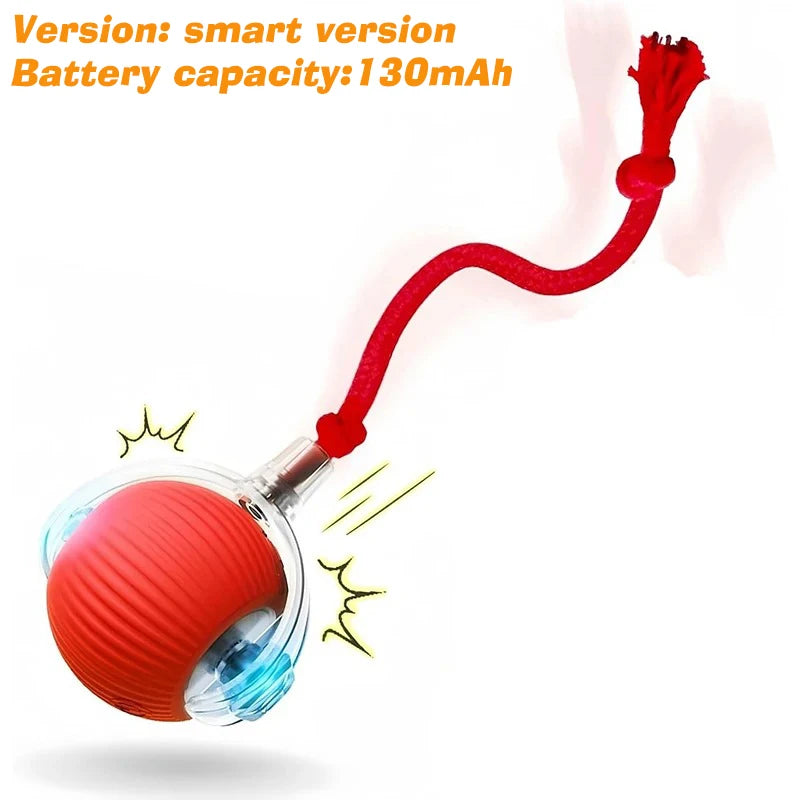Smart Interactive Dog Ball