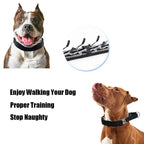 Dog Training Prong Collar