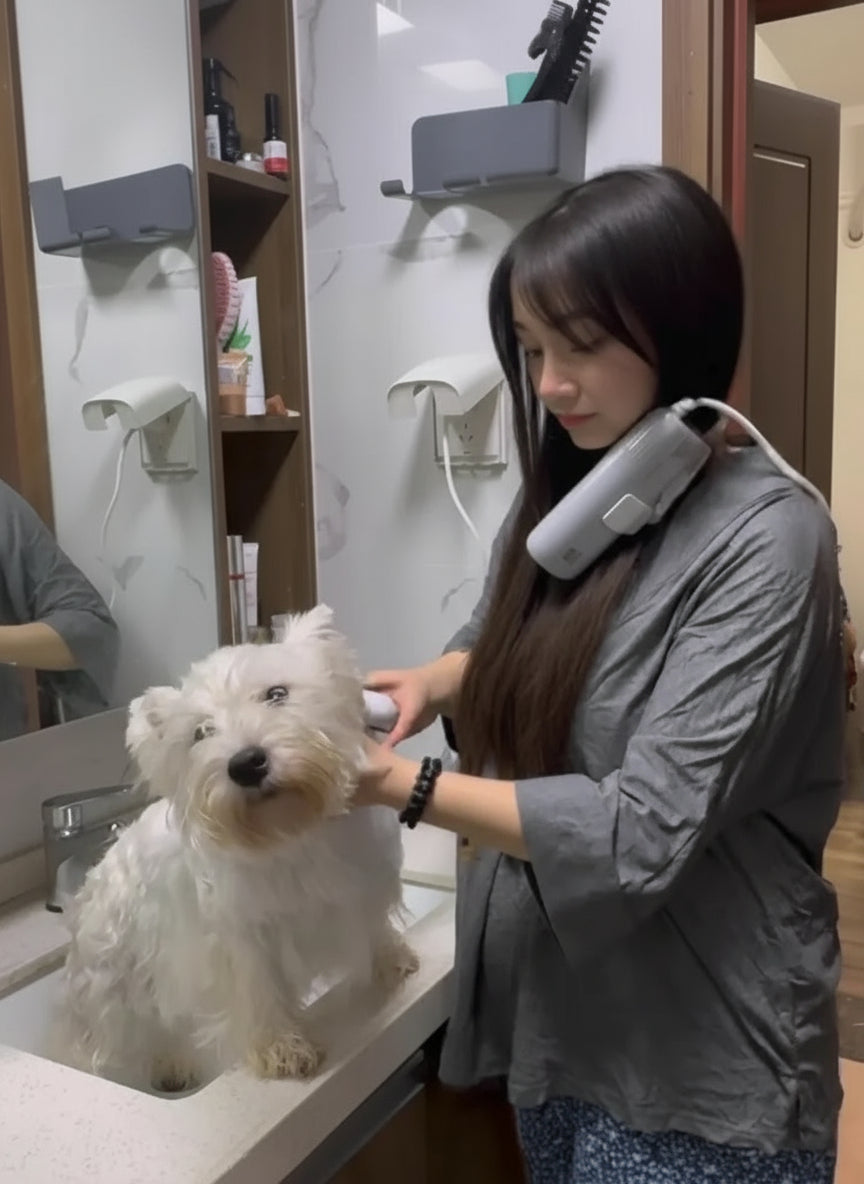 1300W Negative Ion Pet Hair Dryer