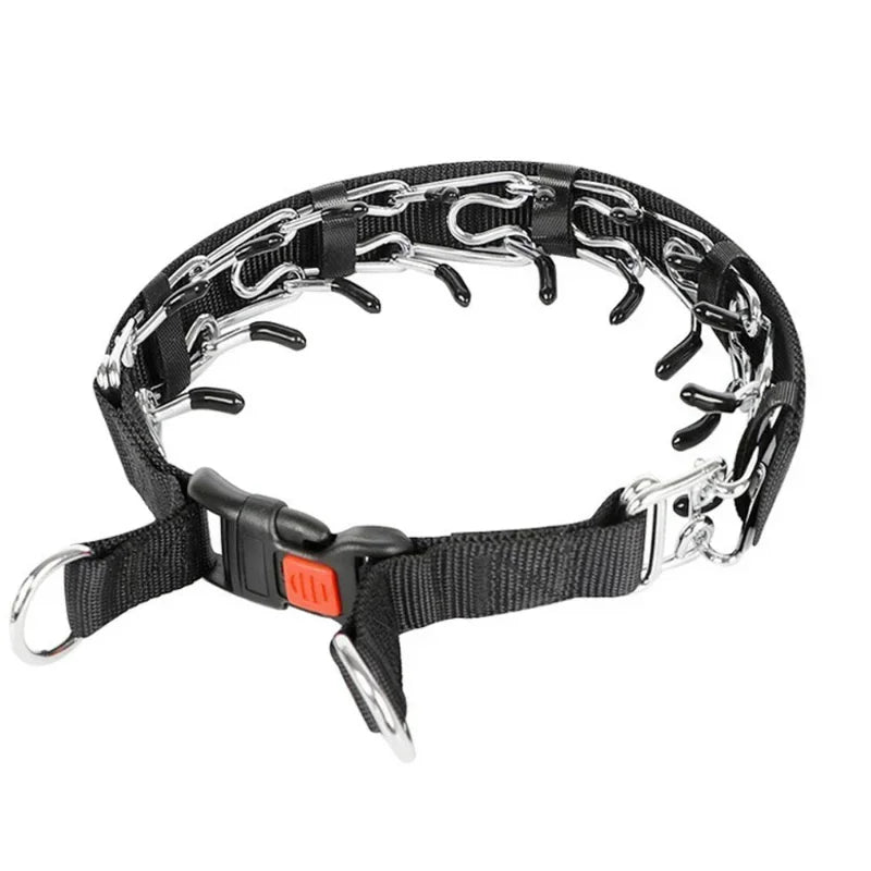 Dog Training Prong Collar
