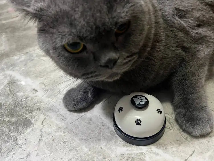 Pet Training Bell for Dogs & Cats